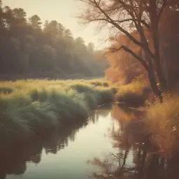 曲のカバー 歲月的歌