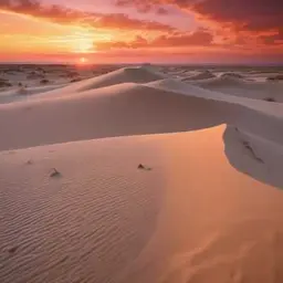 Portada de la canción Freedom Maroc