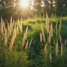 Copertina della canzone Grano vivo