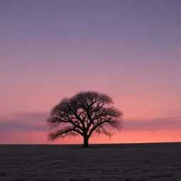 Copertina della canzone Amor além da vida 