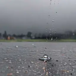 曲のカバー Cantando bajo la lluvia