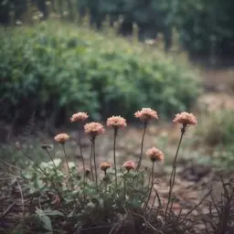 Portada de la canción Lágrimas en el Edén