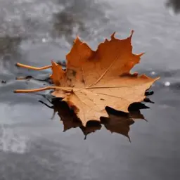 Couverture de la chanson Что мне делать подскажет лист, Опавший лист, упал на лужу  Я не греюсь чужой заб