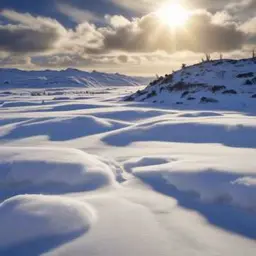 A dal borítója coming home