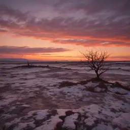 Copertina della canzone õnnelik taas  dam-di-dum...