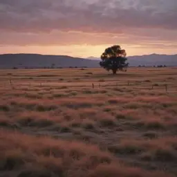 Copertina della canzone Ты оставила меня