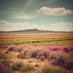 Portada de la canción El Sabor de Castilla