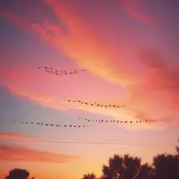 曲のカバー Про день рождения 