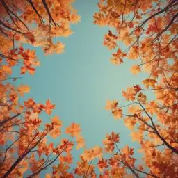 曲のカバー Canción de Otoño